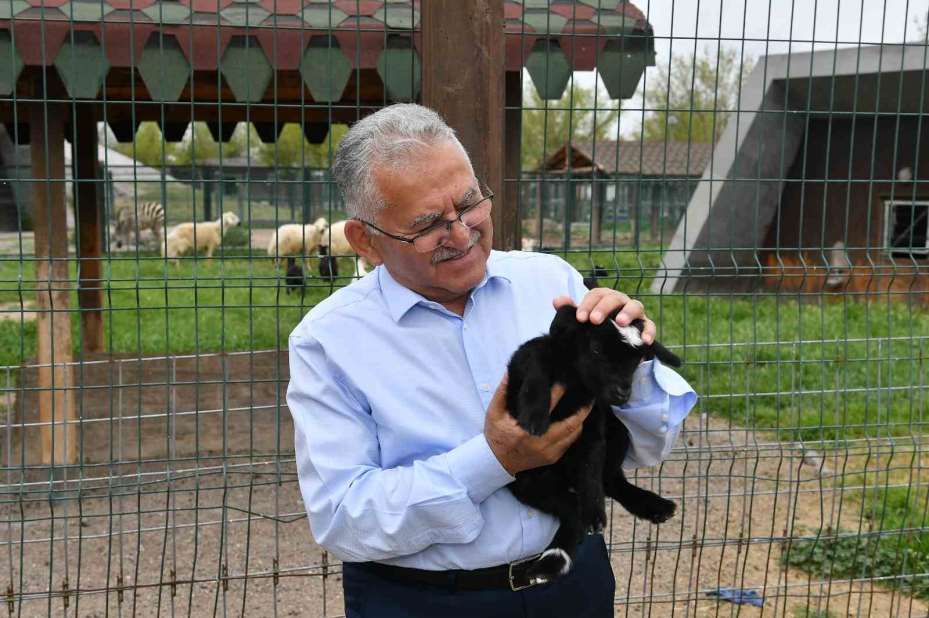 Başkan Büyükkılıç, hayvanat bahçesini ziyaret etti