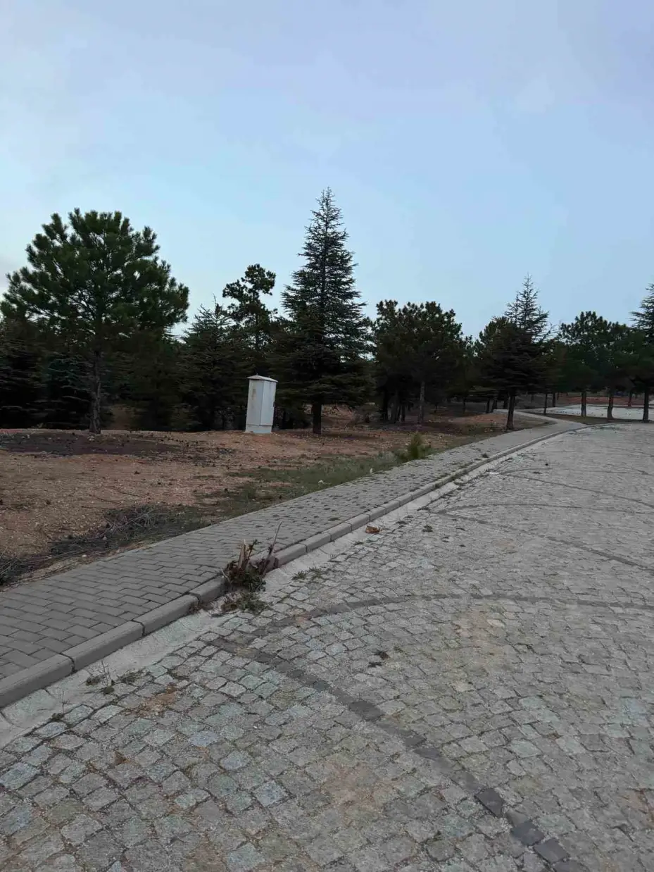 Aşıkpaşa Tabiat Parkı’nın bakımsız hali tepki çekiyor
