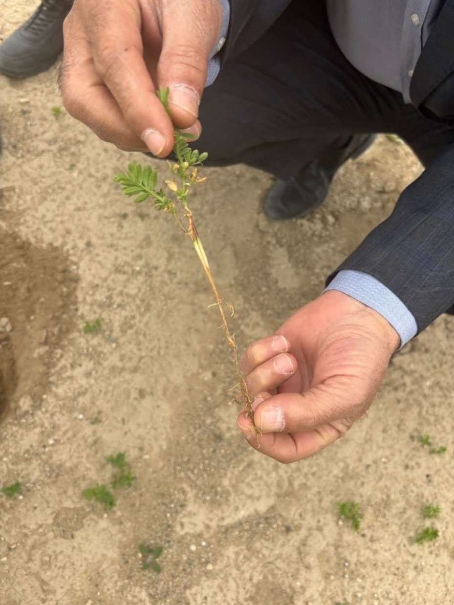 Kulu’da tarım alanlarında kontroller devam ediyor