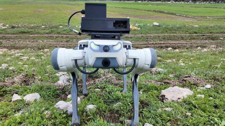 Yerli savunma sanayi firmasından robotik köpek atılımı: "AyBARS"