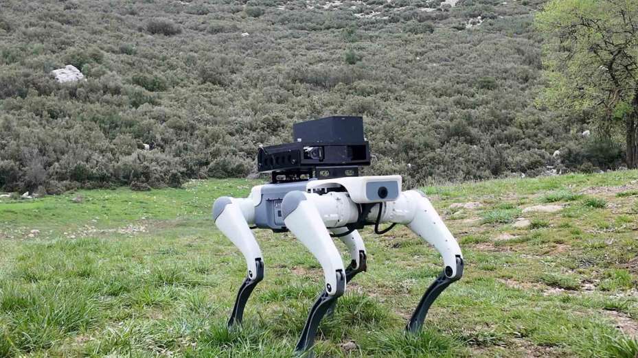 Yerli savunma sanayi firmasından robotik köpek atılımı: "AyBARS"