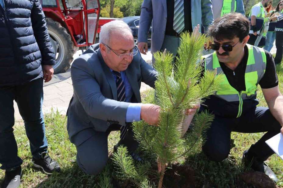 Sivas’ta Türk dünyası öğrencileri fidan dikti