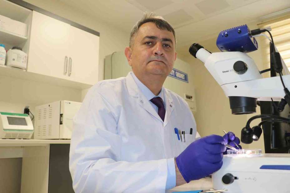 Uzmanı uyardı: "Hayvanların üzerindeki keneler elle koparılmamalı"