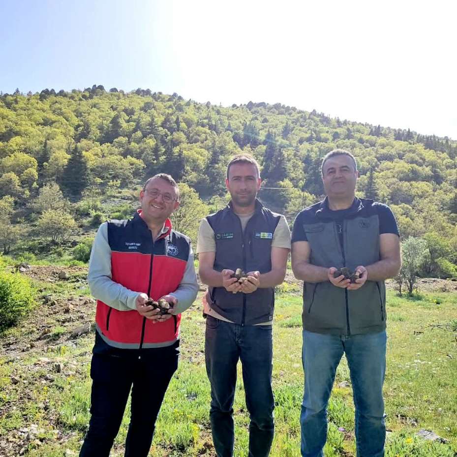 Bozkır’da sahada Kuzu Göbeği incelemesi