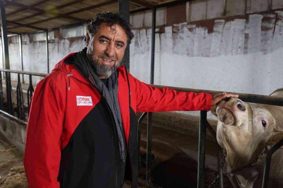 Konya’da son zamanlarda kurbanlık hayvan seçiminin yönü bu yıl büyükbaş hayvan oldu