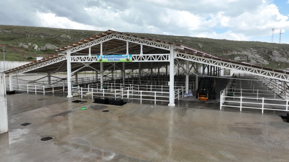 Sivas’da kurban pazarı bu yıl Kovalı Mevkii’nde kurulacak