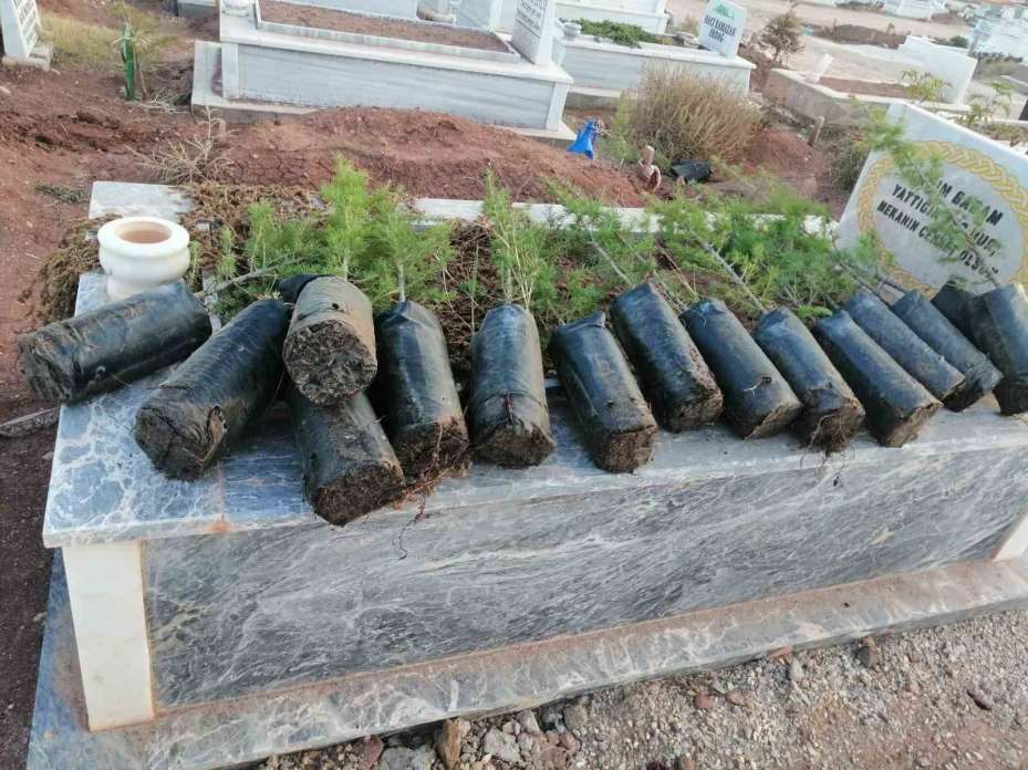 Anneler Günü’nde mezarlıkları yeşillendirdiler