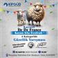 Talas’ta Ile De France Koyun Irkı Festivali ve Güzellik Yarışması