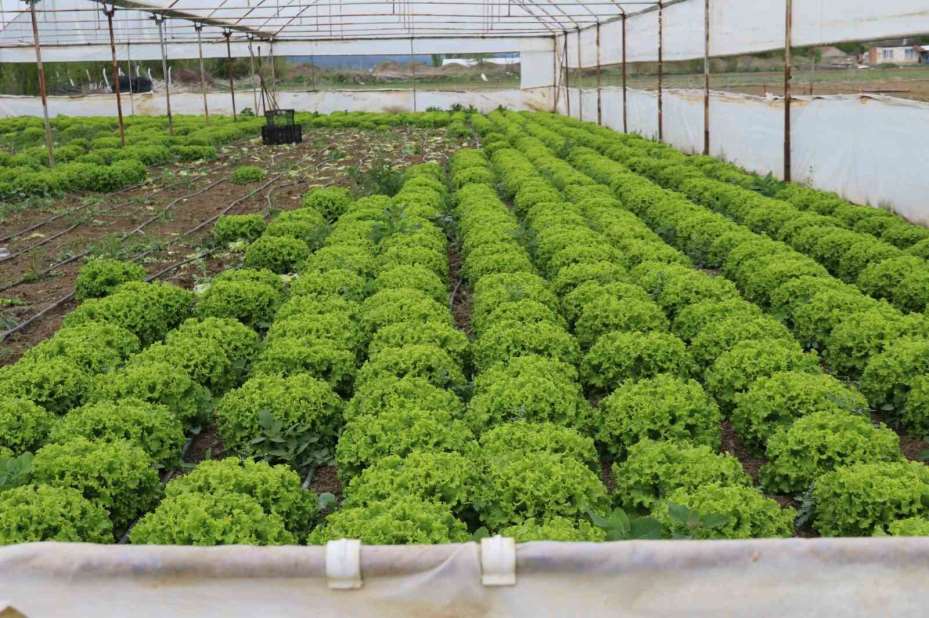 Eskişehir’de yetersiz yağışlar sebze ve meyve fiyatlarını olumsuz etkiledi