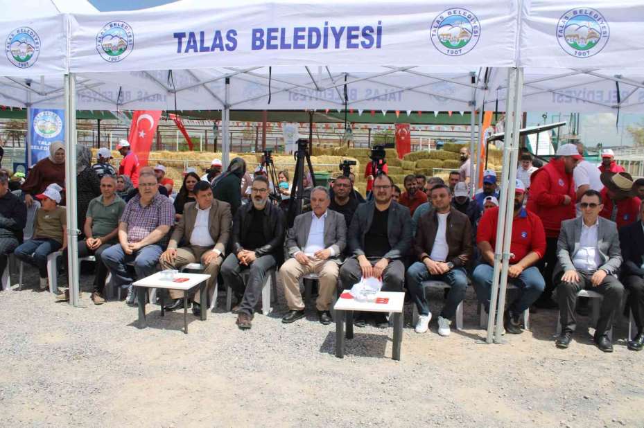 Talas’ta İle De France koyun ırkları yarıştı