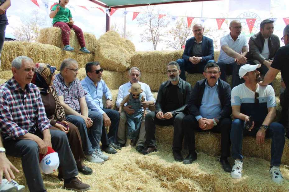 Talas’ta İle De France koyun ırkları yarıştı