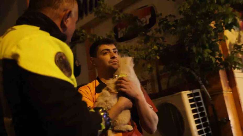 Köpeğini düşürmemek için çabaladı, dengesini kaybedip kendisi düştü