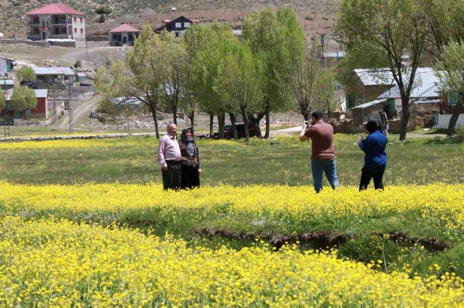 Orta Toroslardaki yaylalar görsel şölen sunuyor