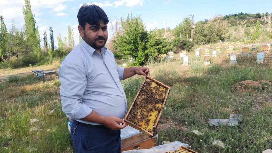 Dünya Arı Günü’nde öğrencilere arılar anlatıldı, bal dağıtıldı