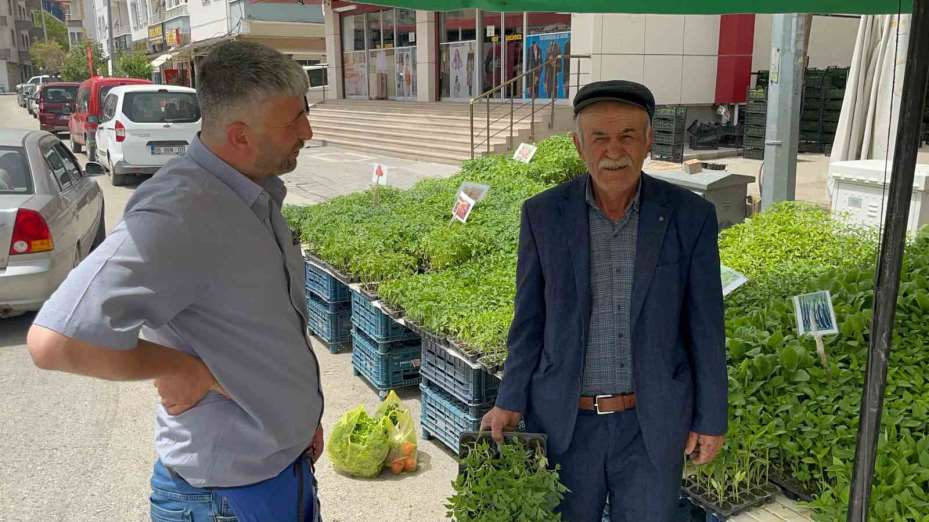 Fideleri bahçesine ekenler kendi yetiştirip kendi yiyor