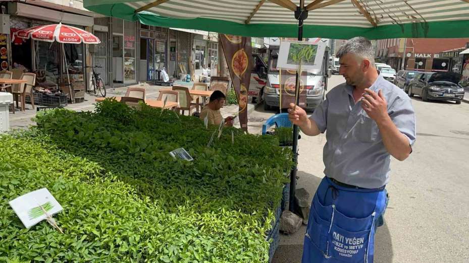 Fideleri bahçesine ekenler kendi yetiştirip kendi yiyor