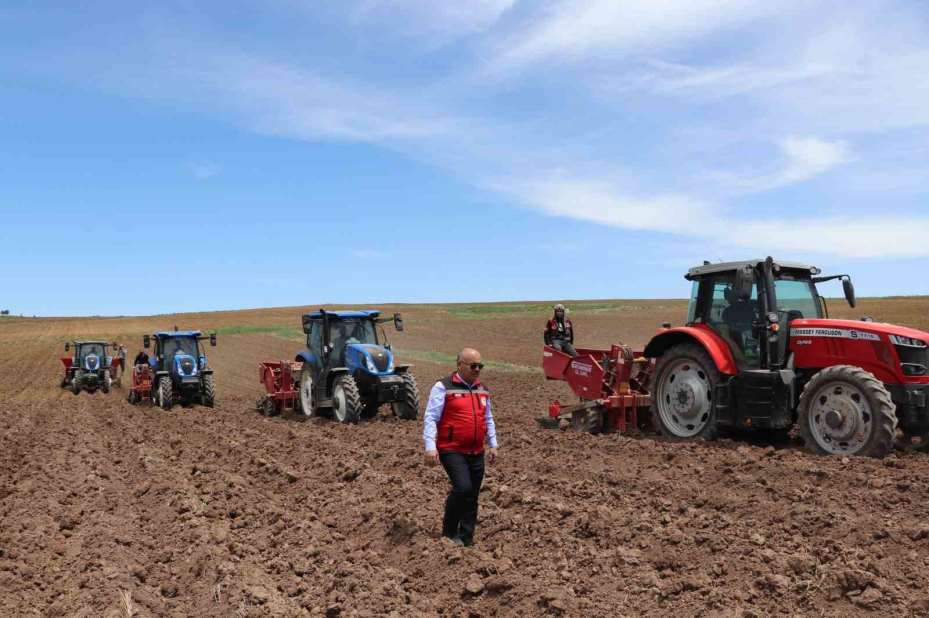 Sivas’ta tohumluk patatesler toprakla buluştu