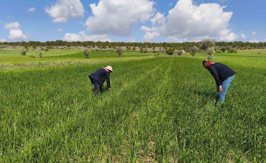 Beyşehir’in tarım alanları yakın takipte
