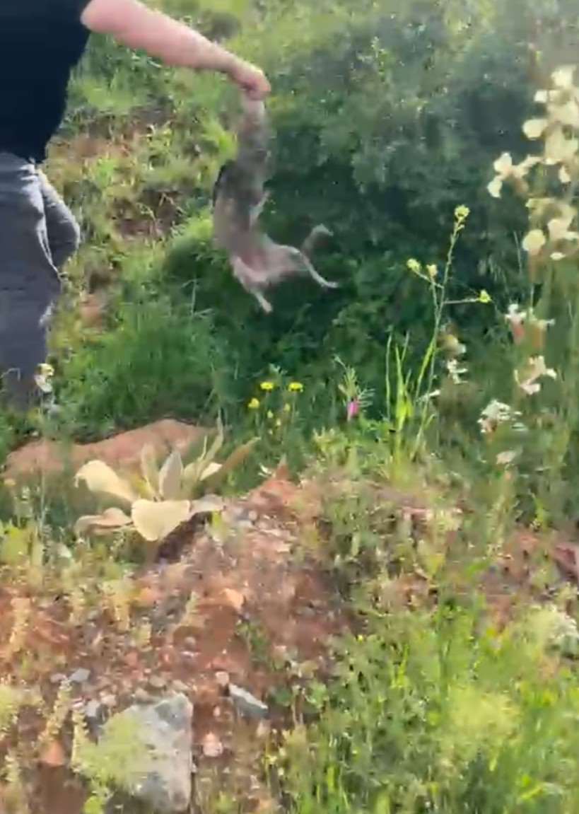 Merakı başına dert oldu, çaresiz kalan tilkinin yardımına onlar koştu