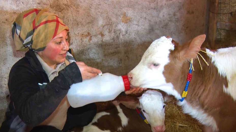 Kadınsın yapamazsın dediler, çiftlik kurdu