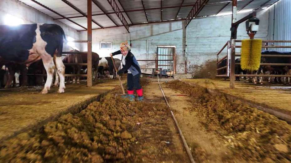 Kadınsın yapamazsın dediler, çiftlik kurdu