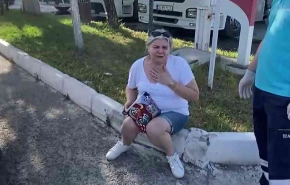 Kadın sürücü önce ağlayıp şoka girdi, sonra kedisine su verdi