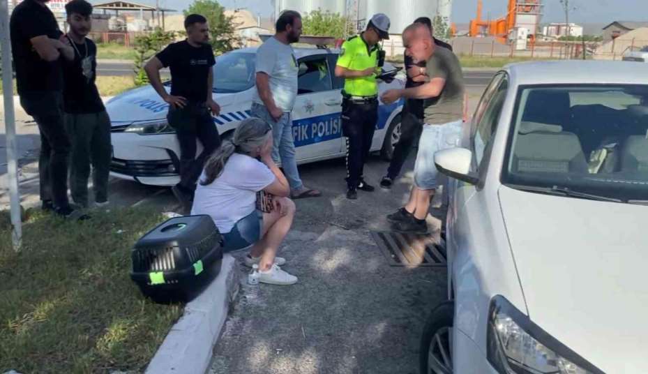 Kadın sürücü önce ağlayıp şoka girdi, sonra kedisine su verdi