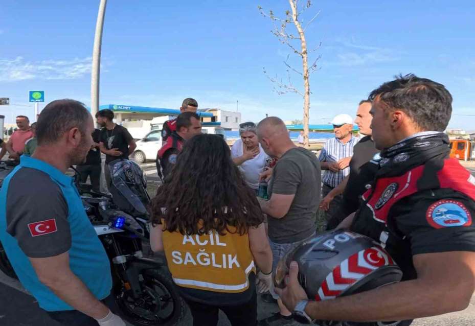 Kadın sürücü önce ağlayıp şoka girdi, sonra kedisine su verdi