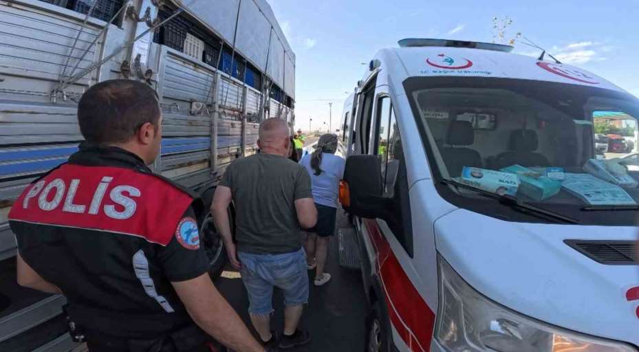 Kadın sürücü önce ağlayıp şoka girdi, sonra kedisine su verdi
