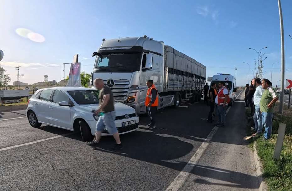 Kadın sürücü önce ağlayıp şoka girdi, sonra kedisine su verdi