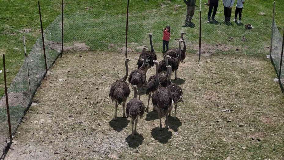Babasının hayalini gerçekleştirdi, Sivas’ta ilki yaptı