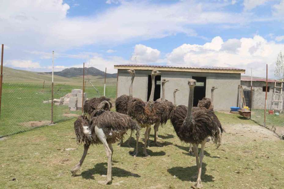Babasının hayalini gerçekleştirdi, Sivas’ta ilki yaptı