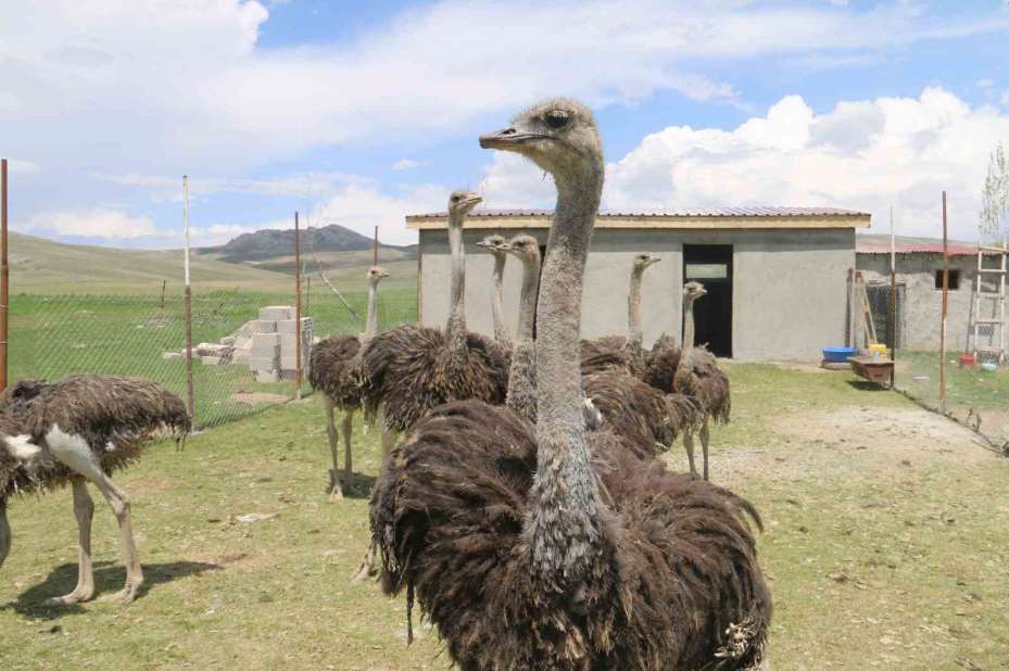 Babasının hayalini gerçekleştirdi, Sivas’ta ilki yaptı