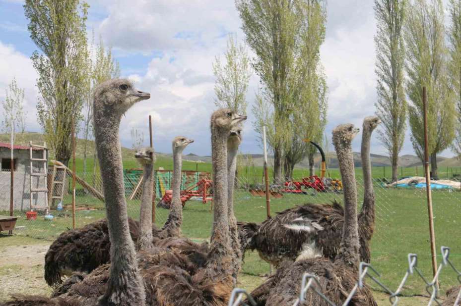 Babasının hayalini gerçekleştirdi, Sivas’ta ilki yaptı