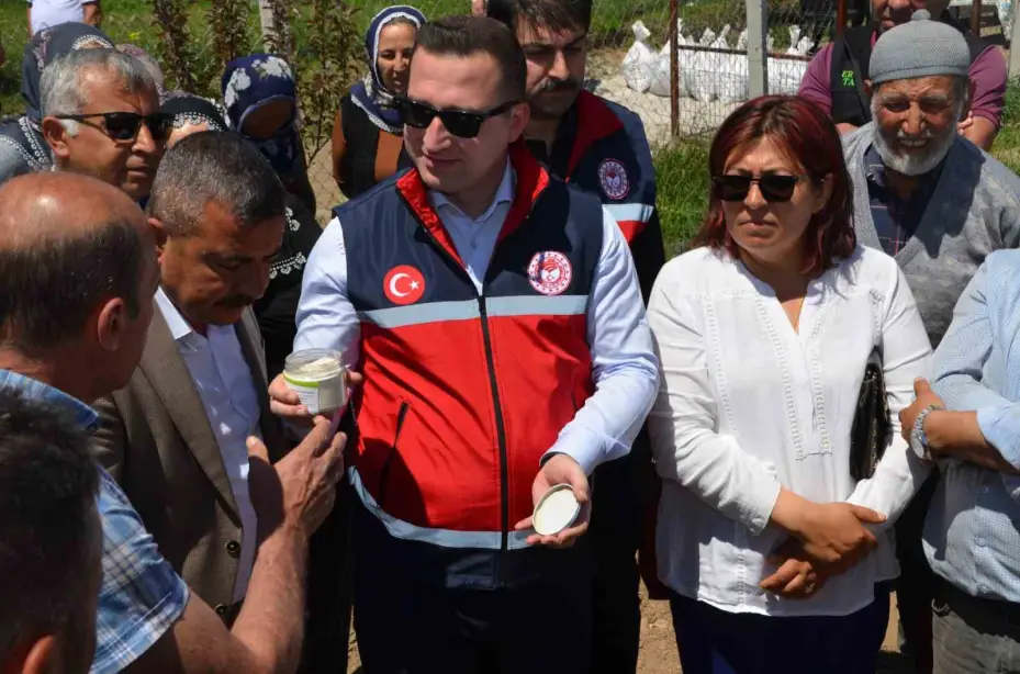 Niğde’de üreticilere 33 bin adet salep yumrusu dağıtıldı