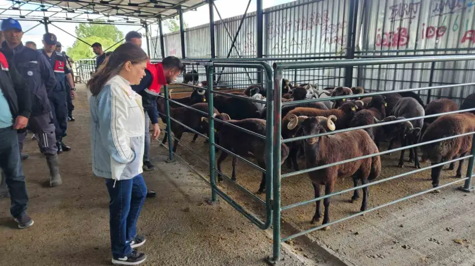 Eskişehir Kurban Satış Hayvan Pazarı’nda denetim ve kontroller