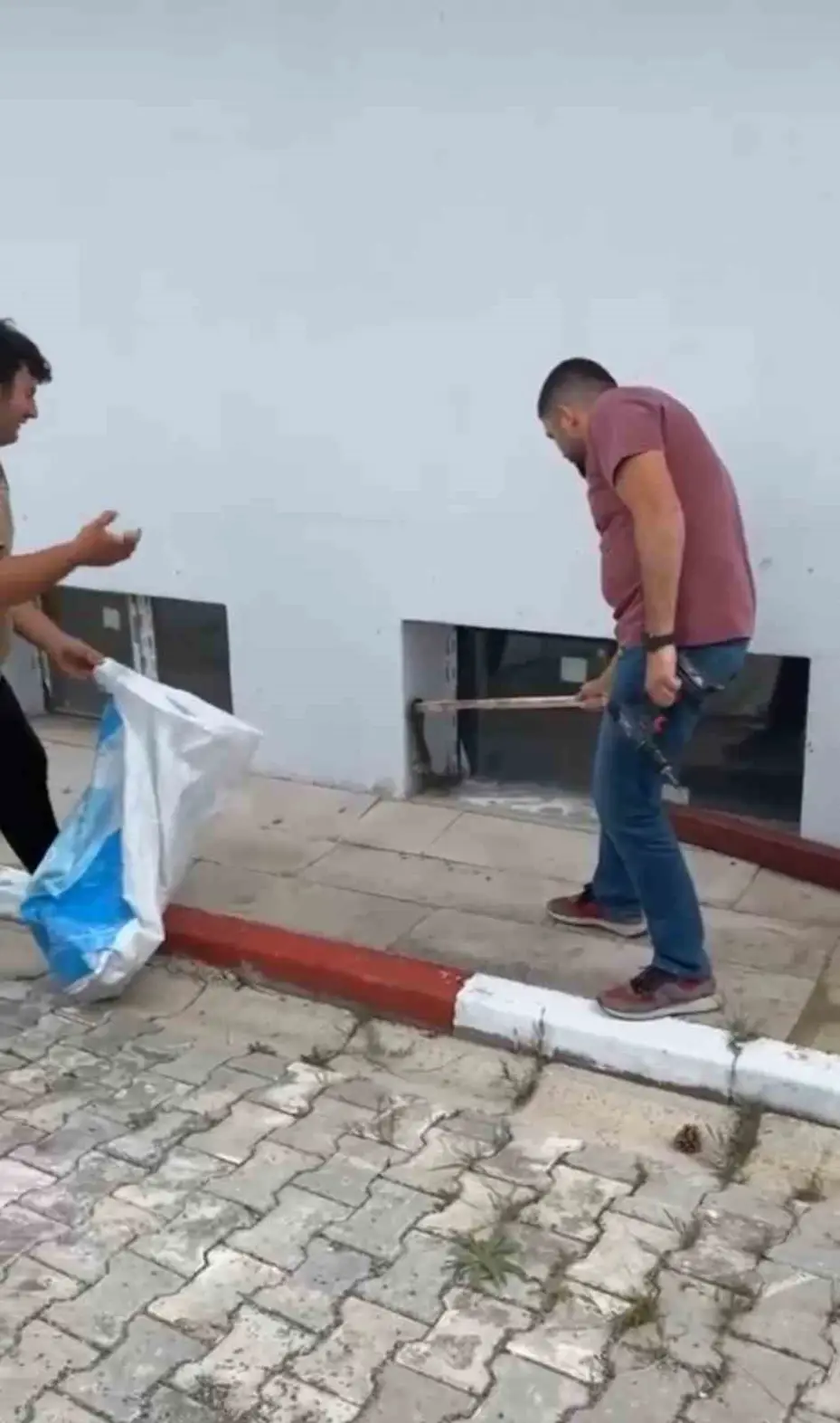 Okulda paniğe neden olan yılan, öğretmen tarafından yakalandı