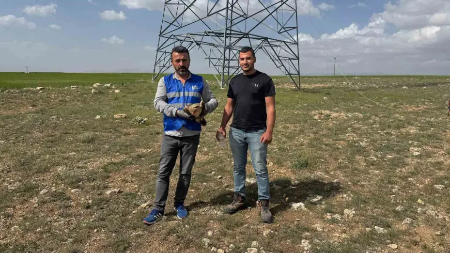 Niğde’de bitkin halde bulunan kızıl şahin koruma altına alındı