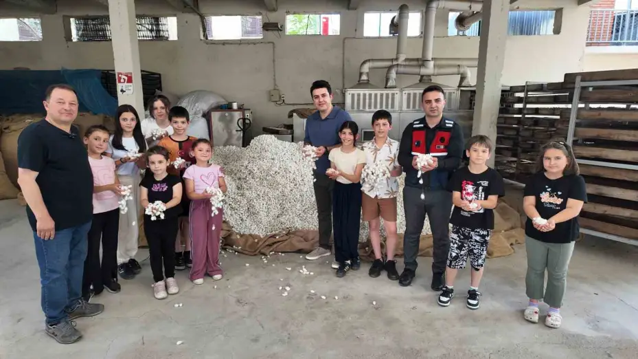 İpekböceği ırkları üzerinde ıslah çalışmaları