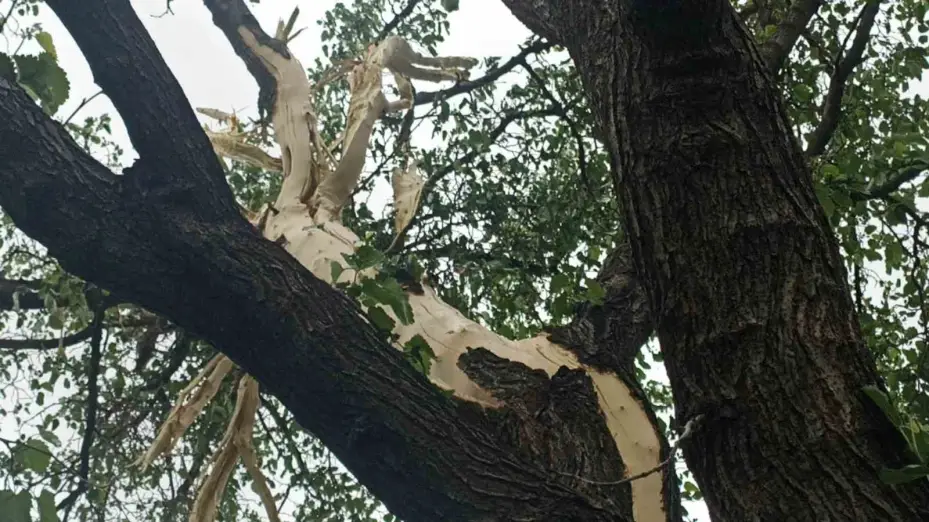 Evin bahçesine düşen yıldırım paniğe neden oldu