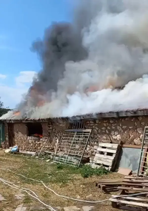 Farelerin kemirdiği kablodan çıkan yangın ahırı kül etti: 30 koyun son anda kurtarıldı