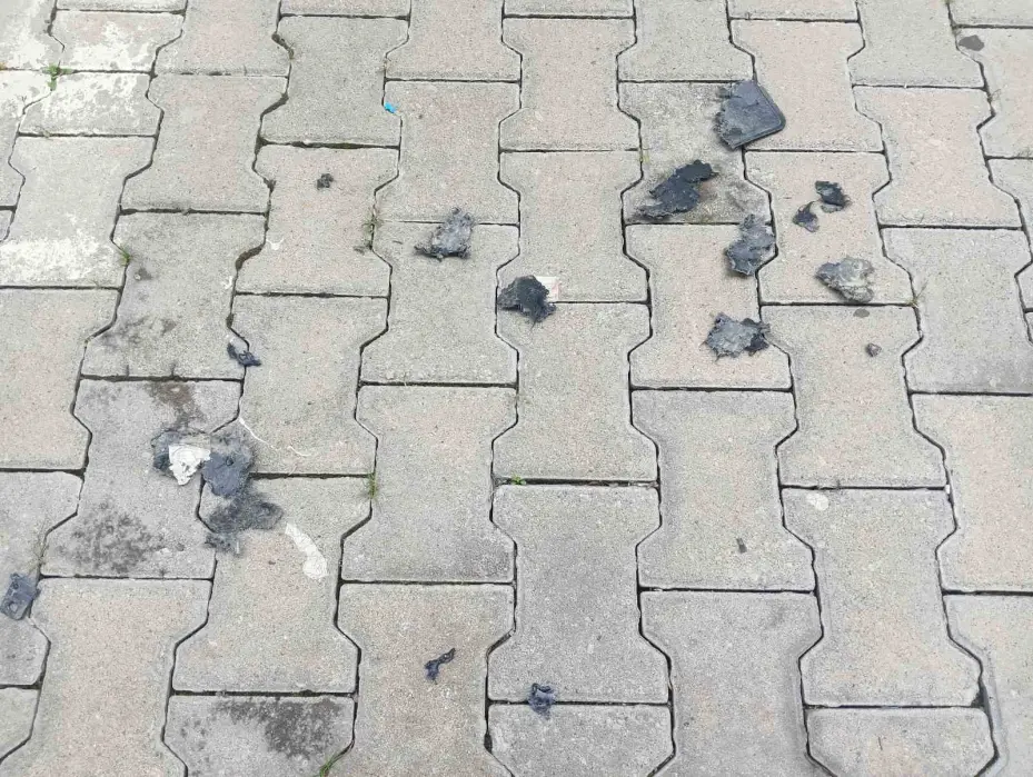 Sahipsiz köpek sürüsü park halindeki araca saldırarak zarar verdi