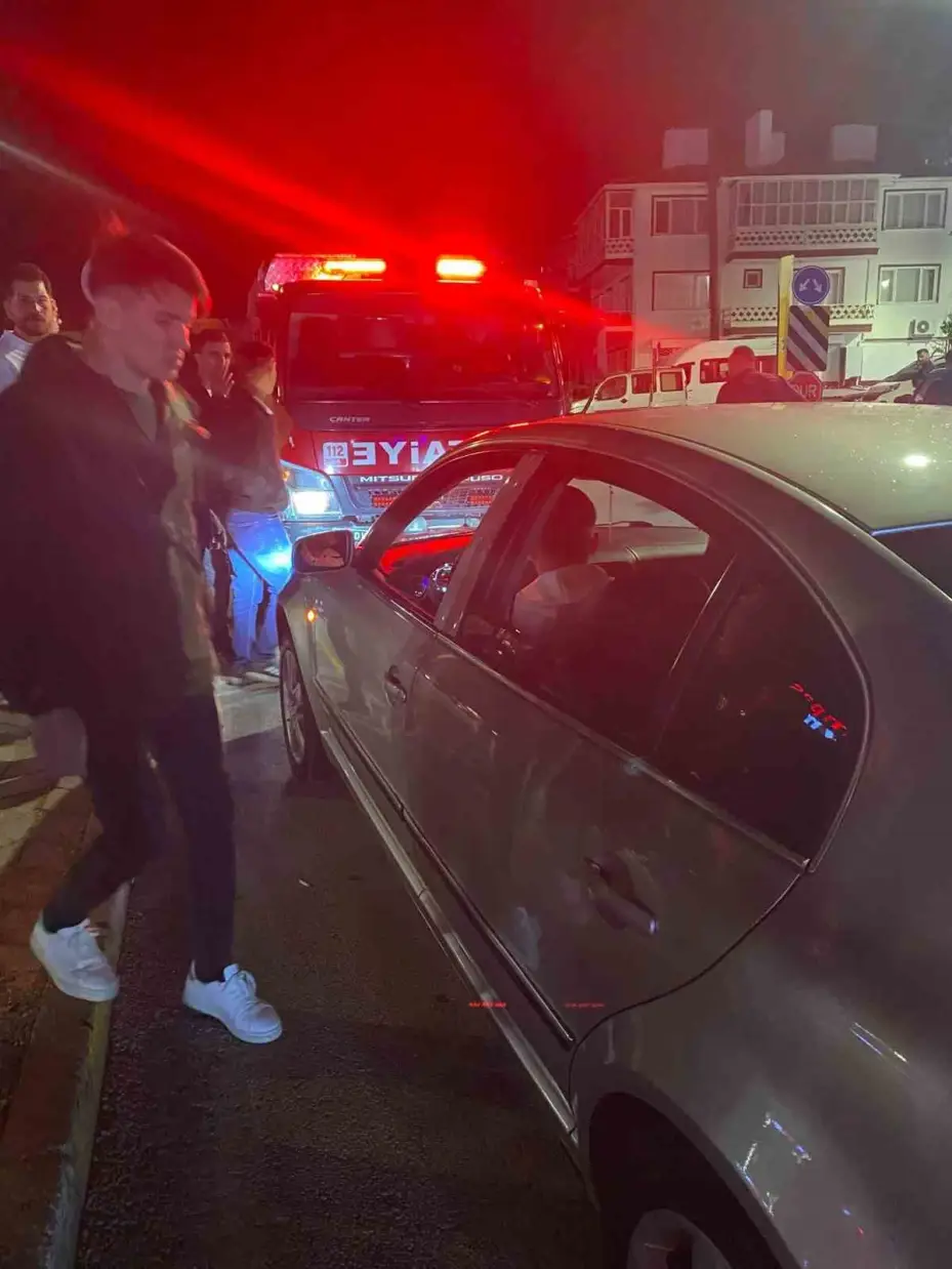 Farklı noktalarda mahsur kalan kedilere itfaiyeden yardım eli