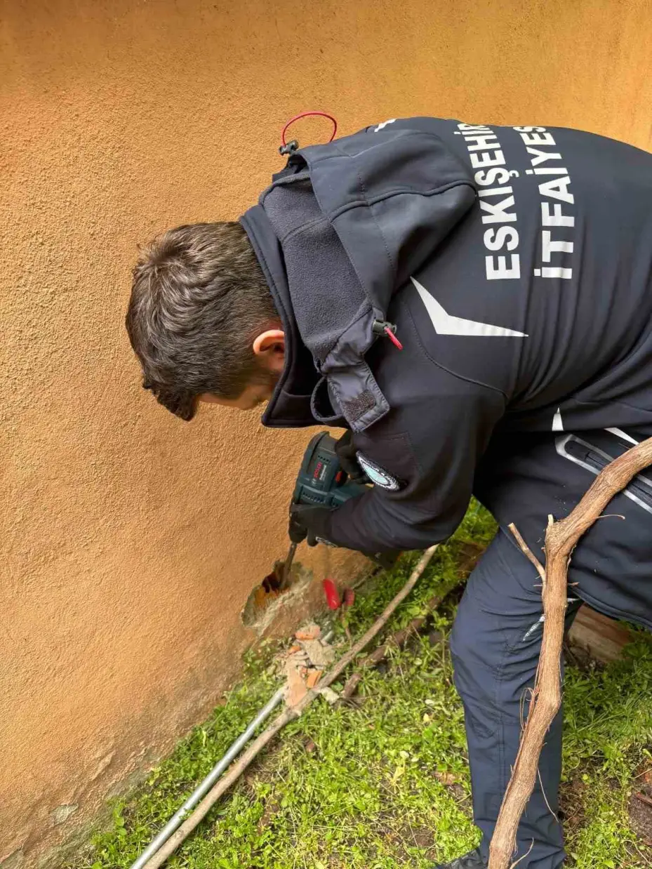 Duvarın içinde mahur kalan kedi itfaiye ekipleri tarafından kurtarıldı