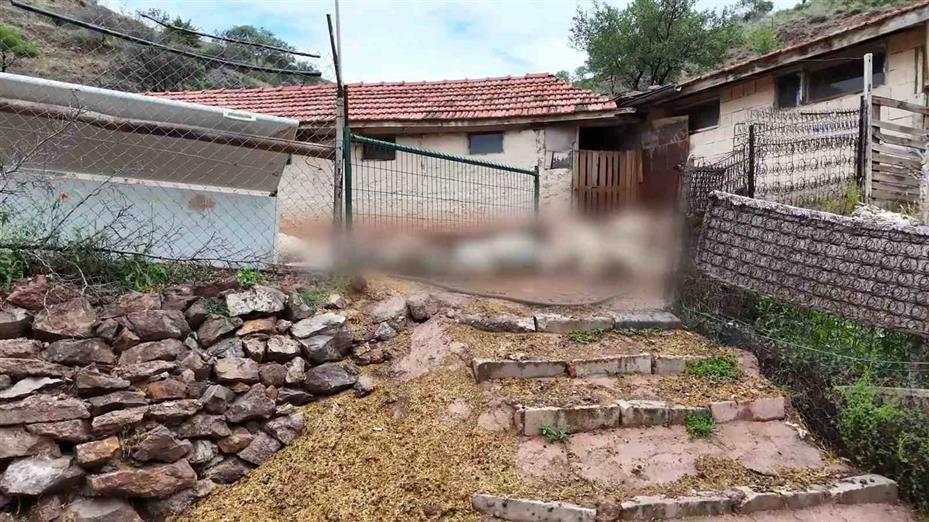 Bir gecede hepsi yok oldu, emekli adamın tek uğraşıydı: "Kendim yemedim, bunlara yedirdim"