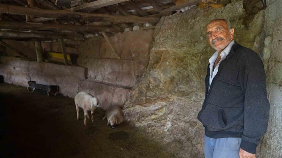 Bir gecede hepsi yok oldu, emekli adamın tek uğraşıydı: "Kendim yemedim, bunlara yedirdim"