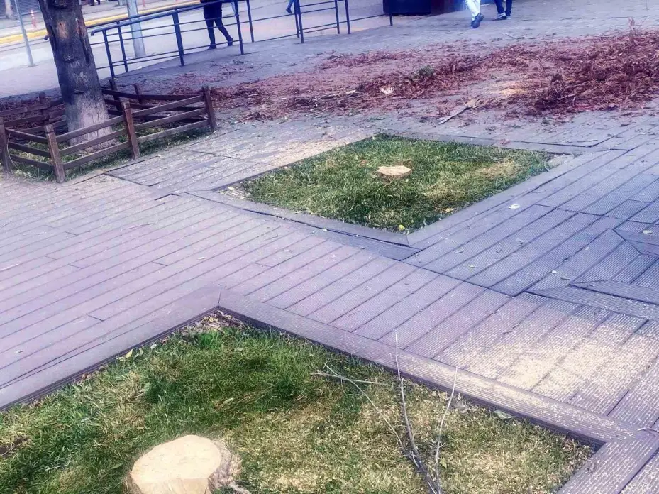 Başkan Vural’dan Hamamyolu’ndaki ağaç kesimine tepki