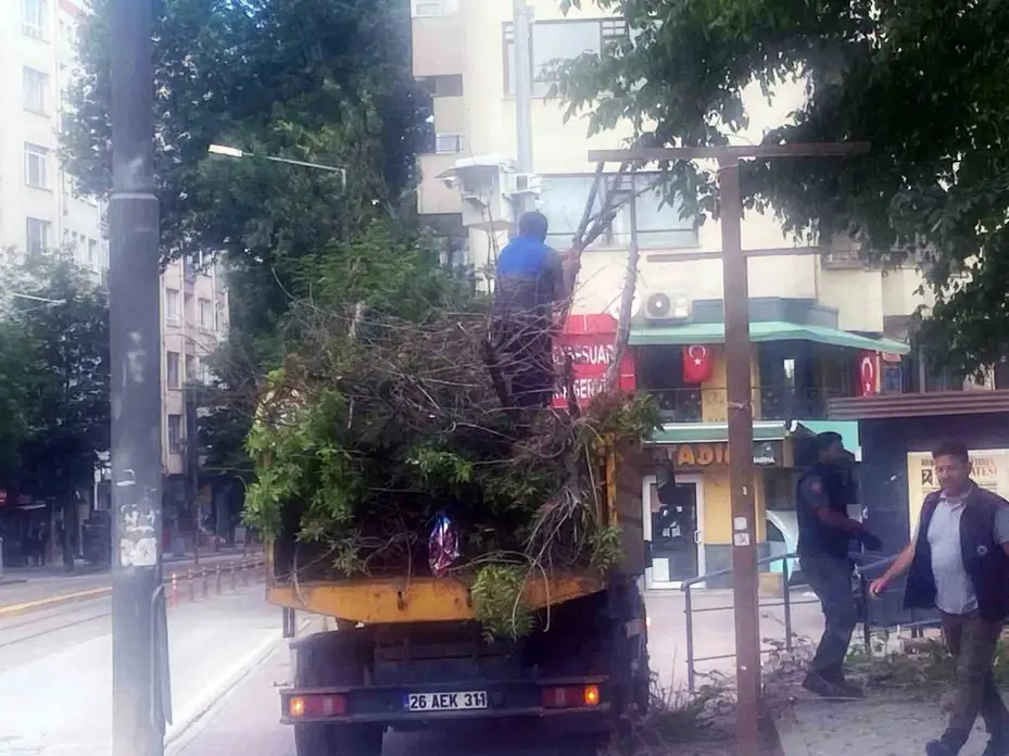 Başkan Vural’dan Hamamyolu’ndaki ağaç kesimine tepki