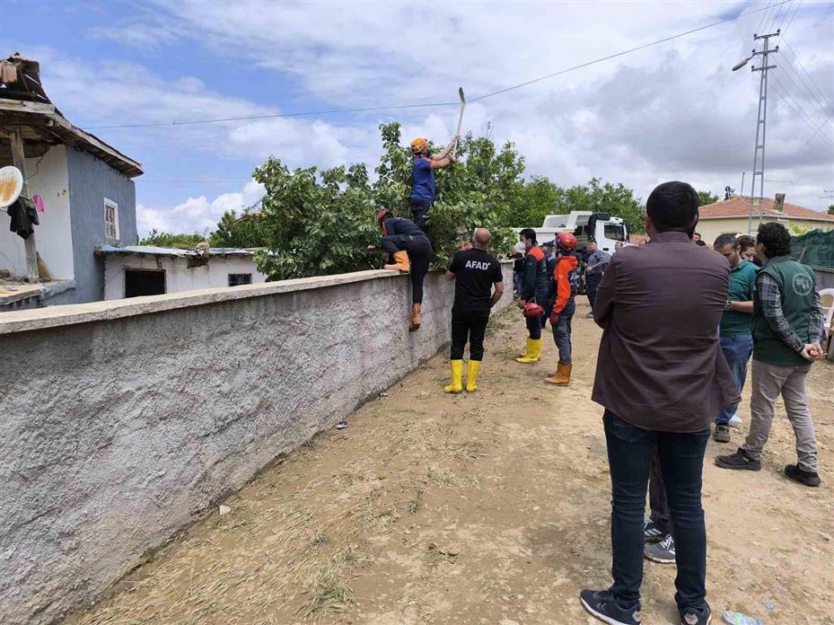 Evini kaybetti, ekmek teknesini enkazdan çıkardı