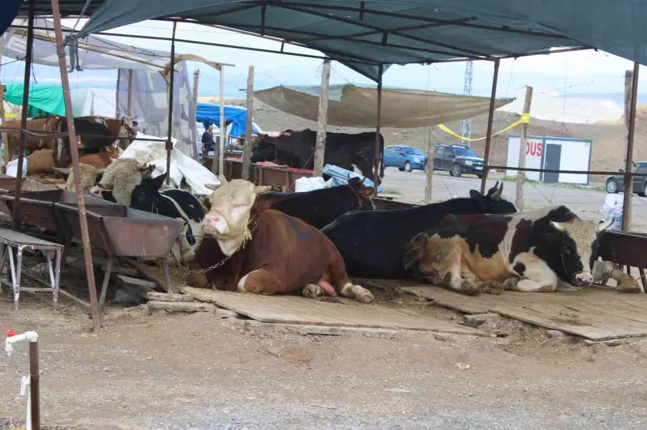 Kayseri’de kurban pazarlıklar hareketlendi